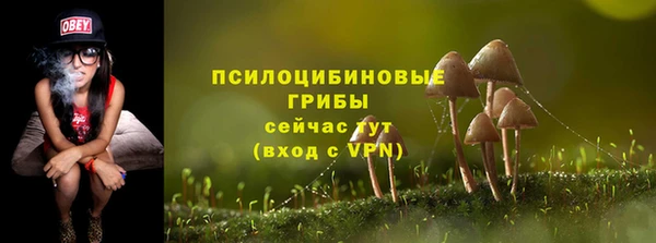 мдпв Сатка