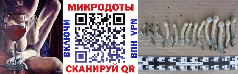 купить  цена  Звенигово  Псилоцибиновые грибы мухоморы 